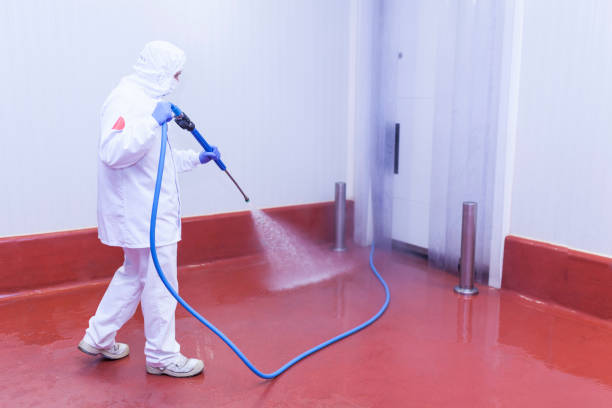 Playground Equipment Cleaning in Sage, CA